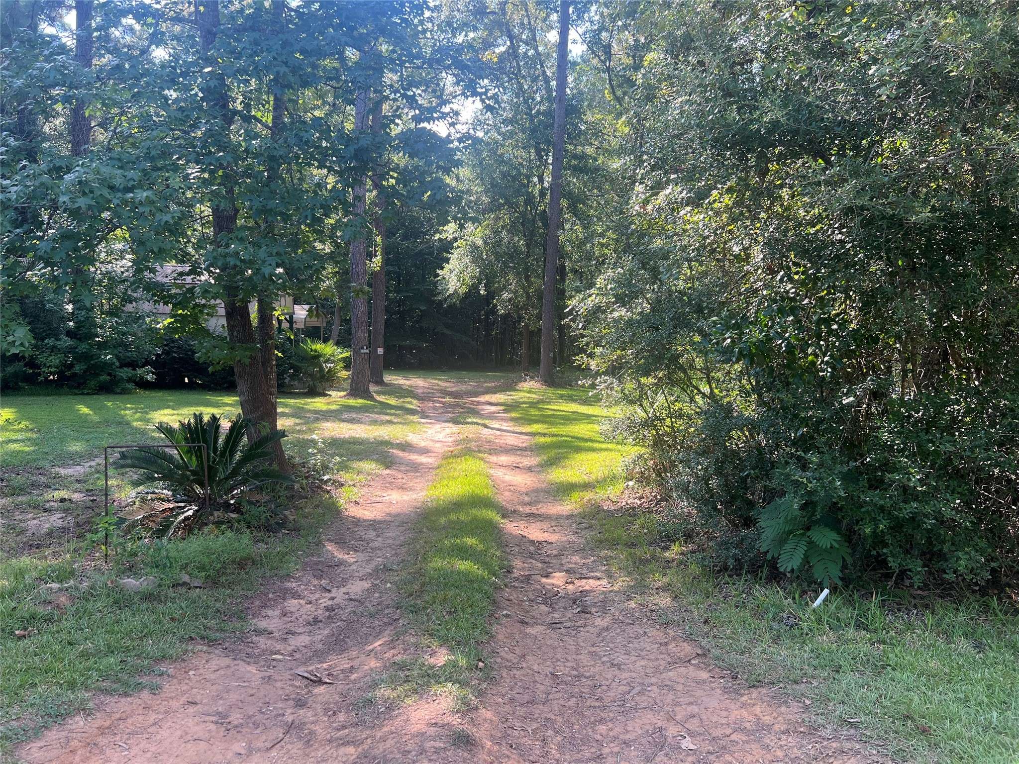 Ivanhoe, TX 75979,810 Ivanhoe DR