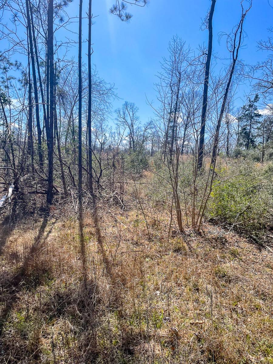 Groveton, TX 75845,0 FM 2262