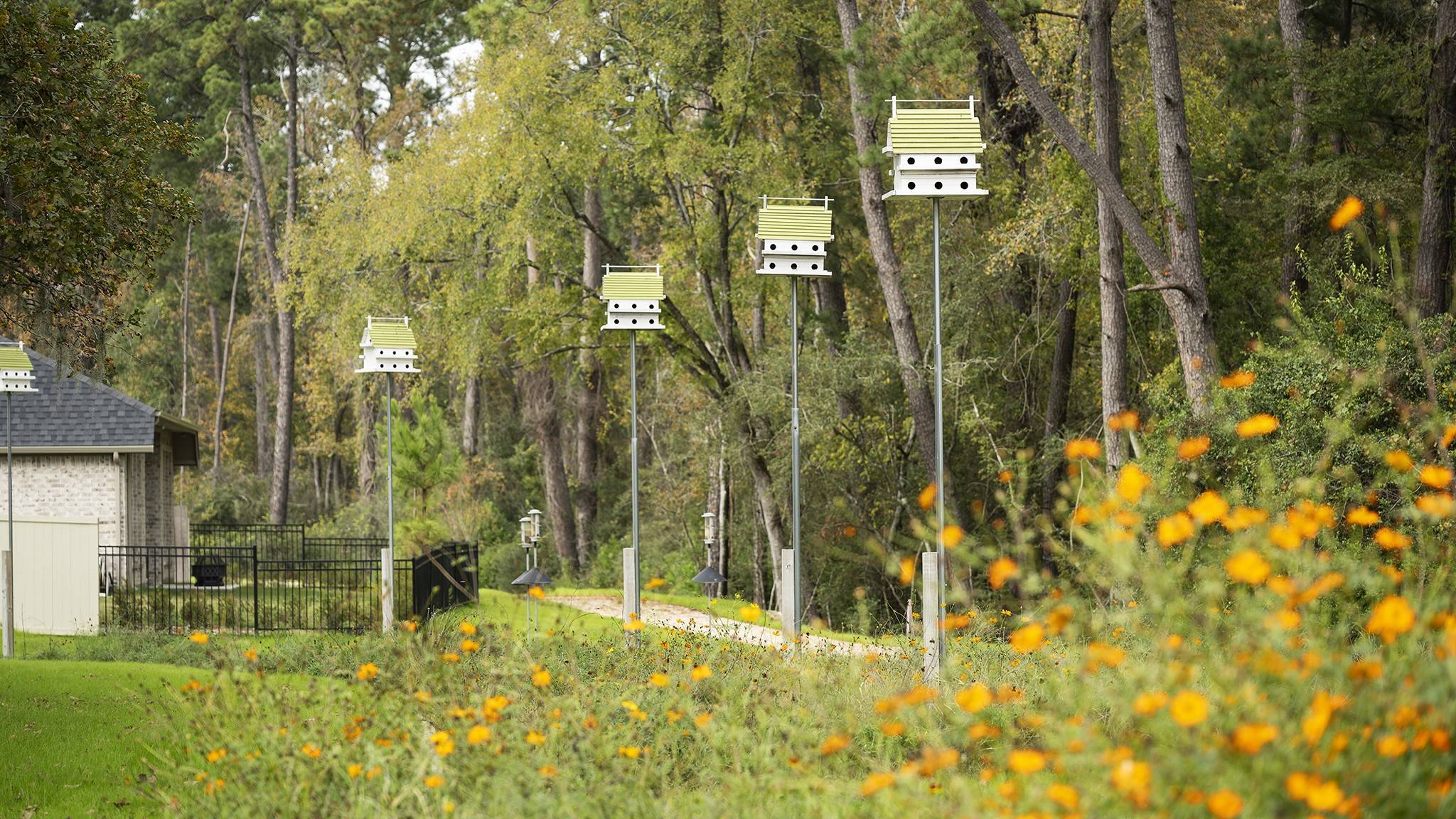 Magnolia, TX 77354,14898 Whistling Duck LN