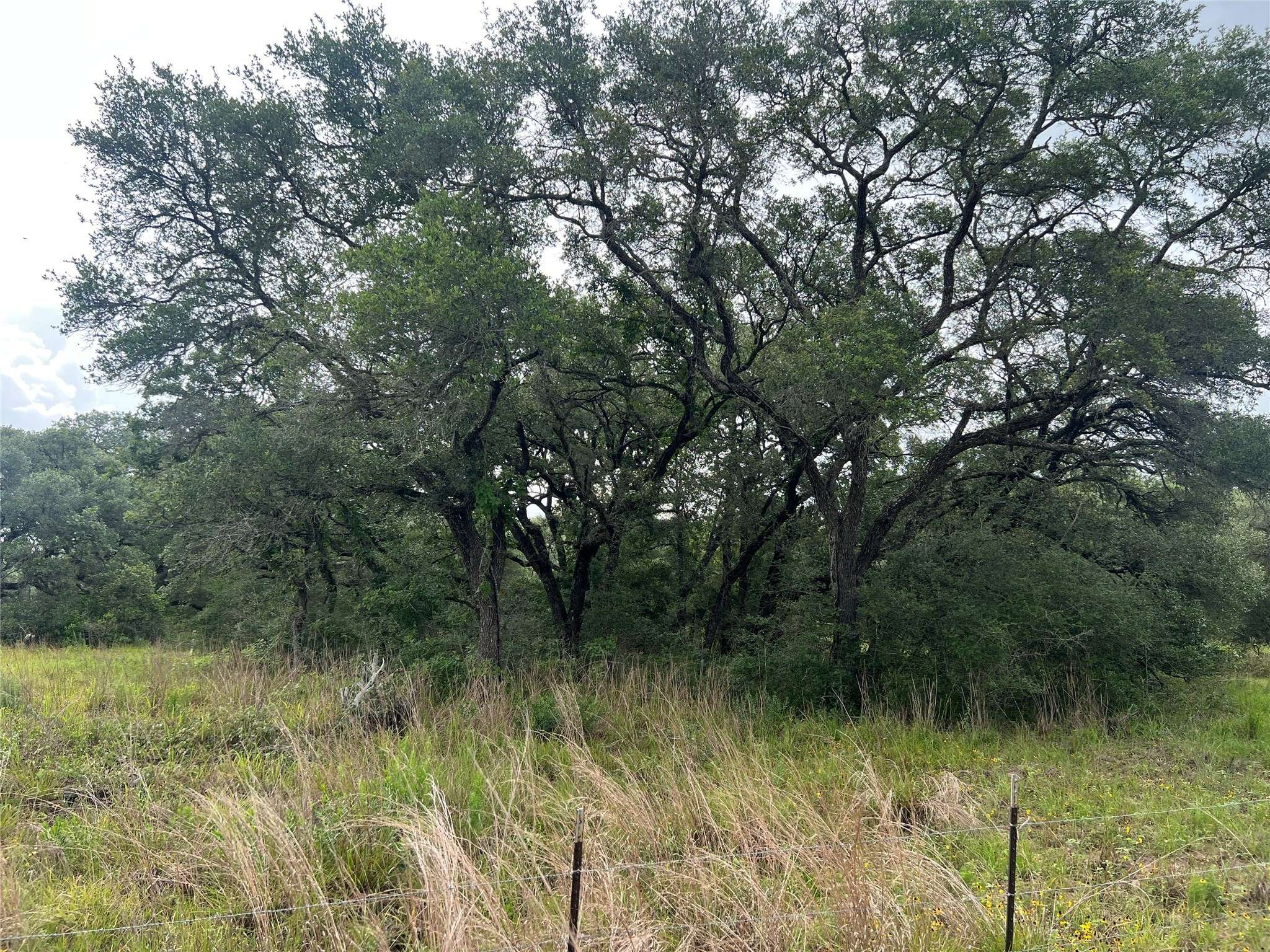 Garwood, TX 77442,TBD - 5.6 Roman RD