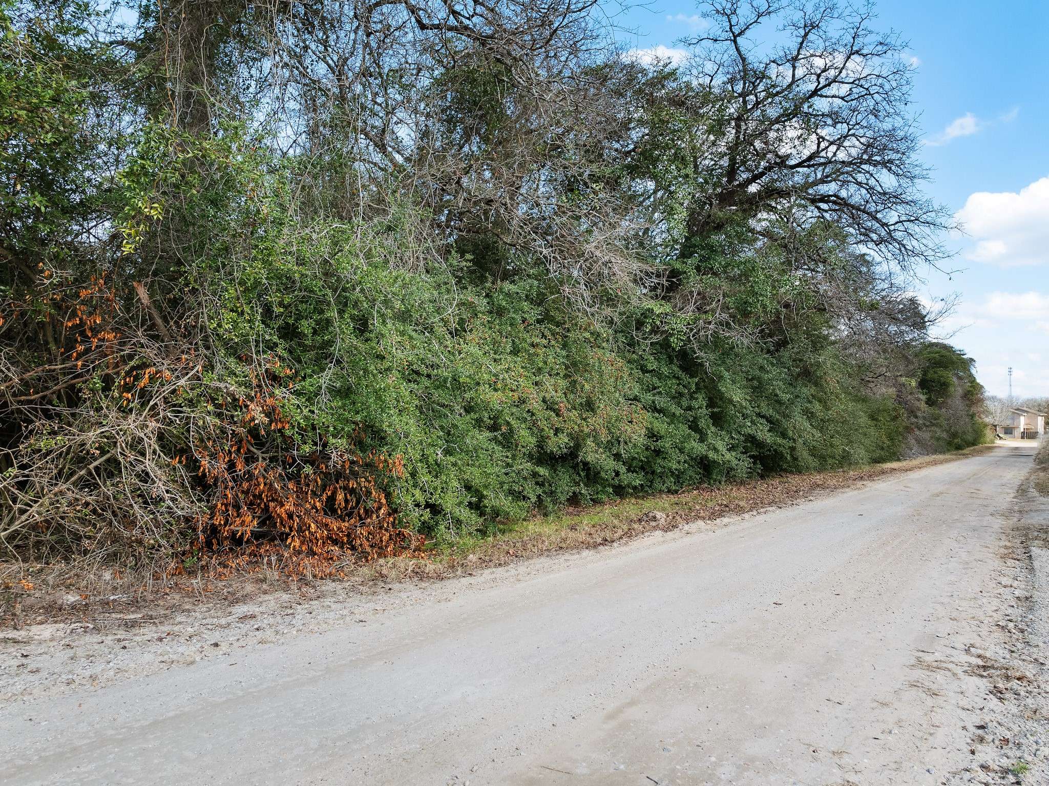 Normangee, TX 77871,Lots 39-40 Springview LN