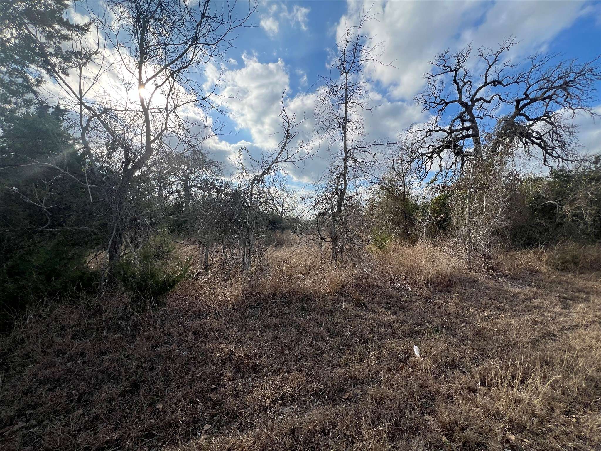 Burton, TX 77835,TBD Iron Bridge RD
