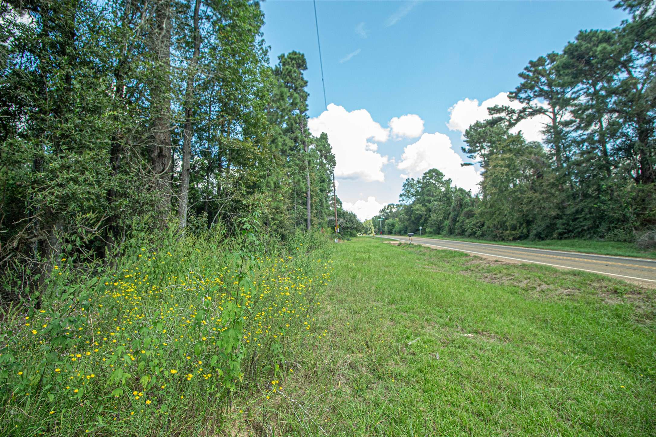 Livingston, TX 77351,TBD FM 2610