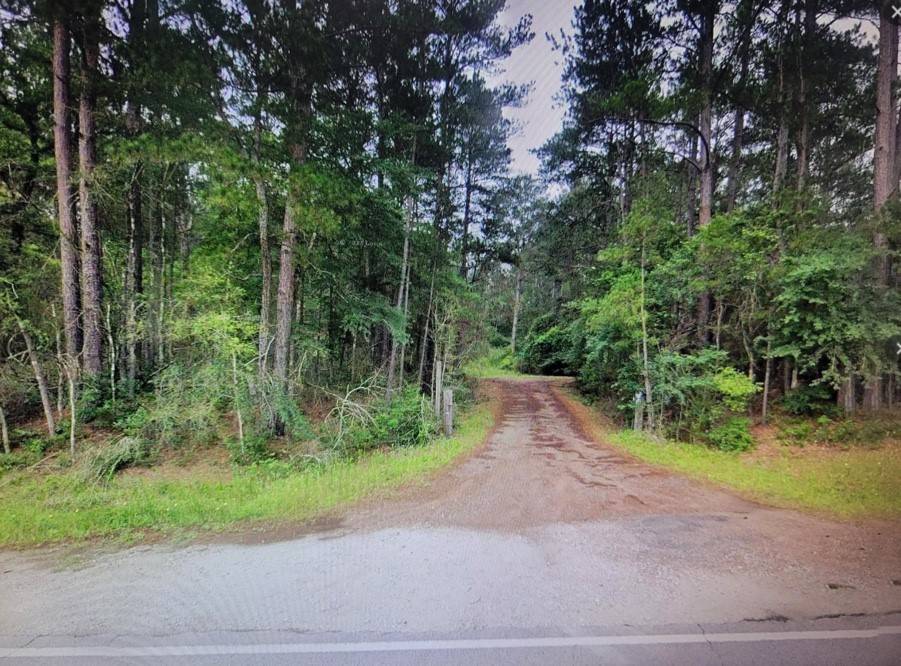 Hempstead, TX 77445,00 E Hickory Bow LN