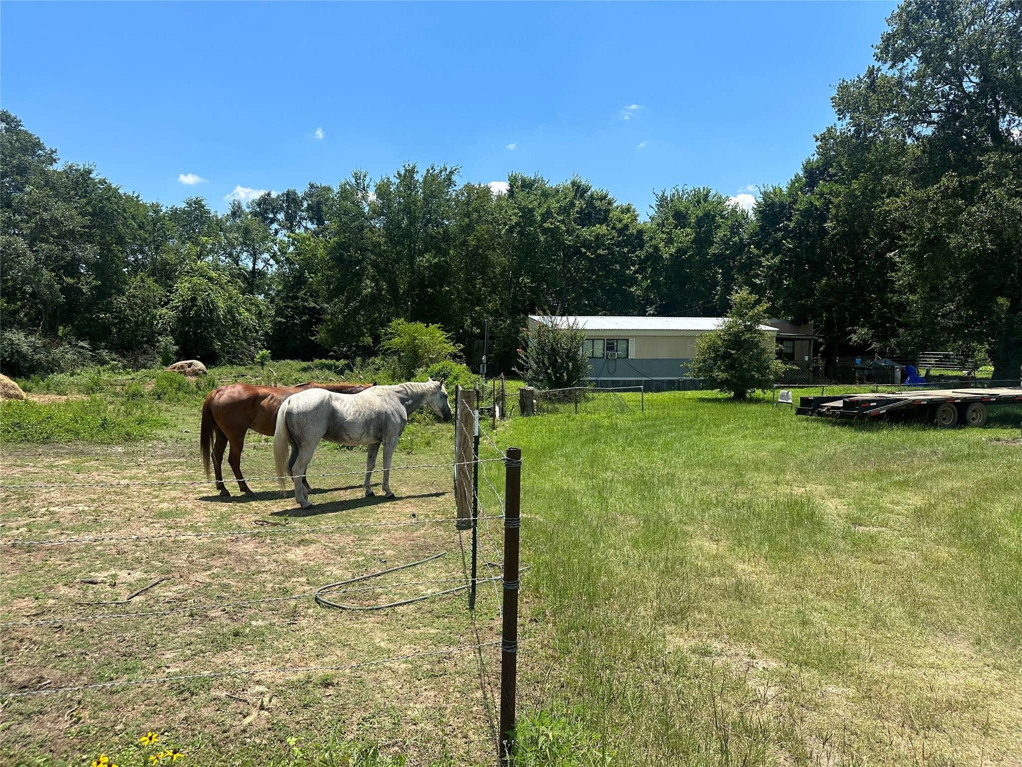 Crockett, TX 75835,4750 Us-287