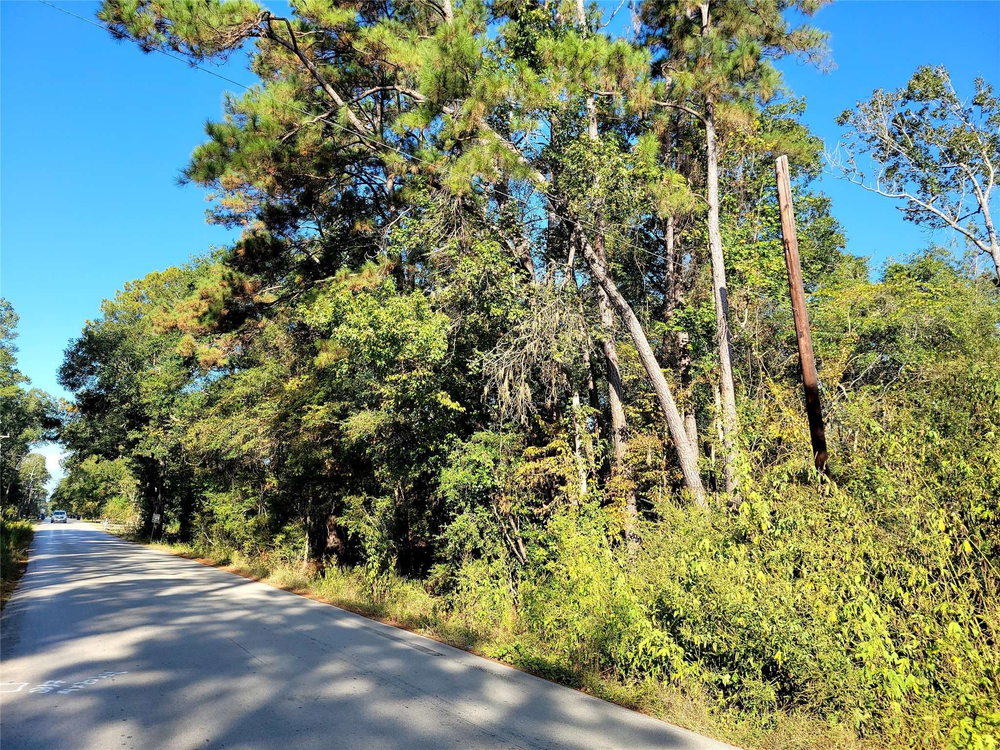 Splendora, TX 77381,0 Creekwood