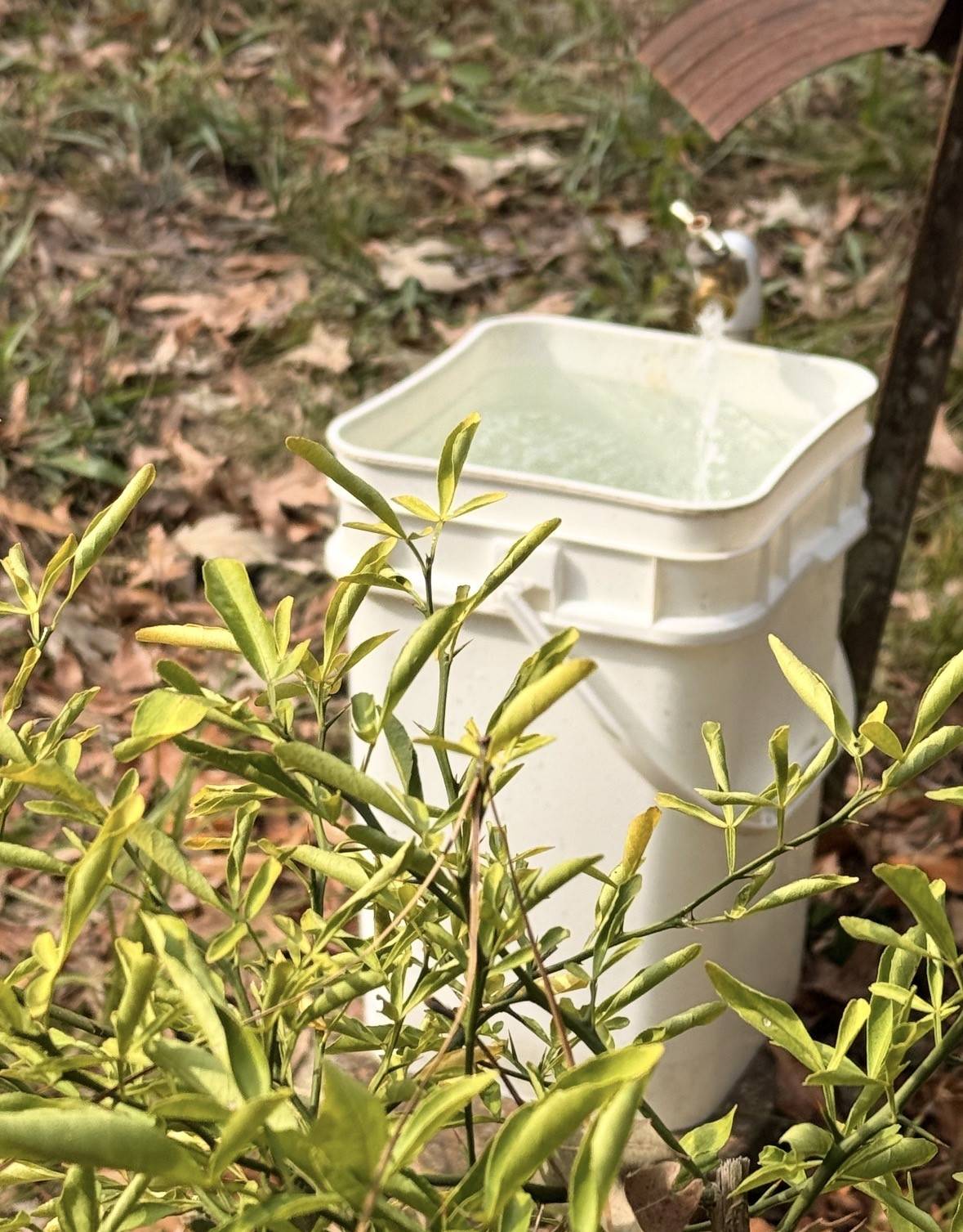 Cleveland, TX 77327,256 County Road 2146