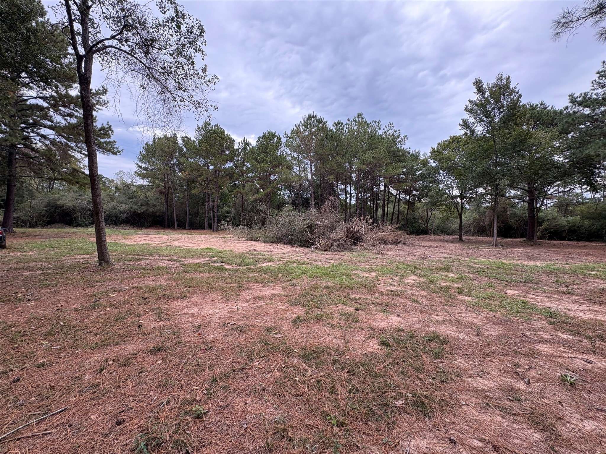 Tomball, TX 77377,19602 Fisher DR