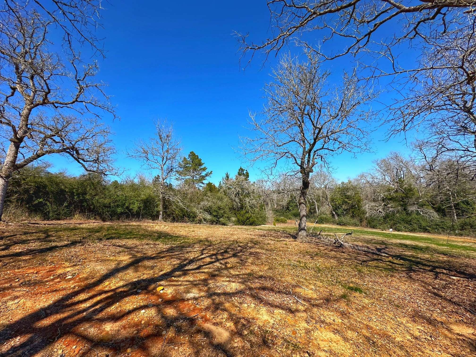 Centerville, TX 75833,10 ac PR 1425