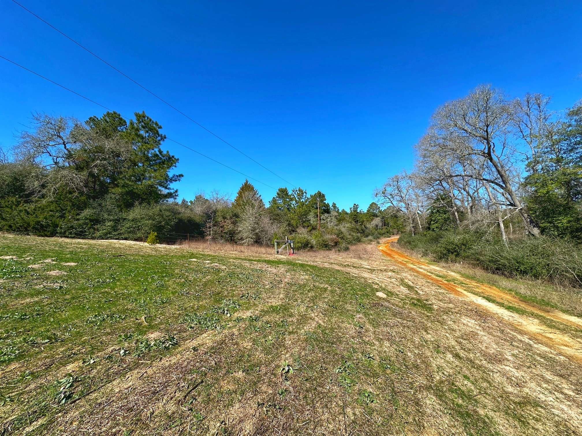Centerville, TX 75833,10 ac PR 1425