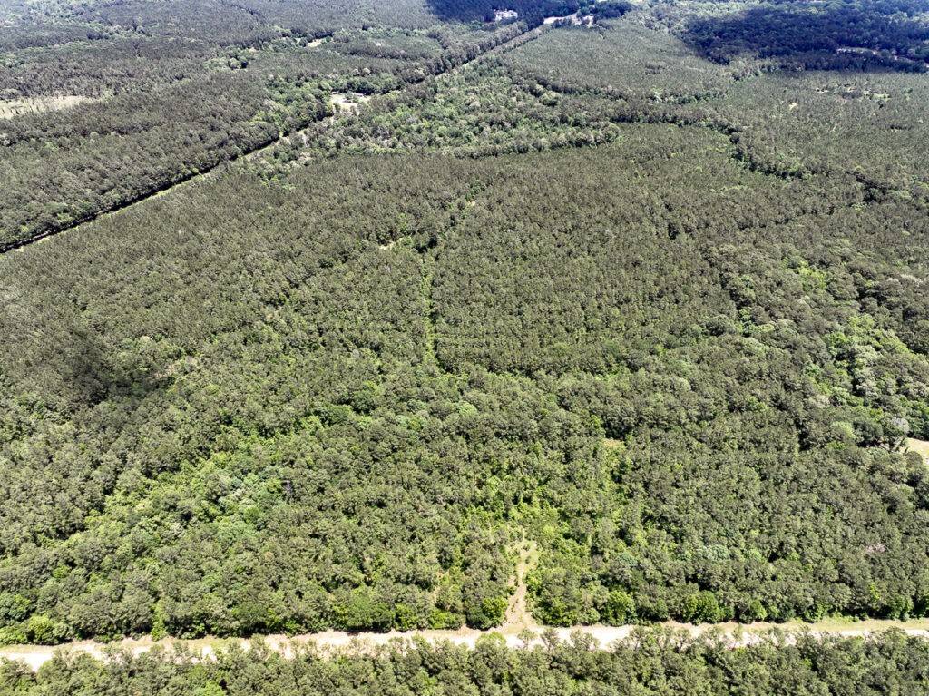 Oakhurst, TX 77359,5 Highway 190