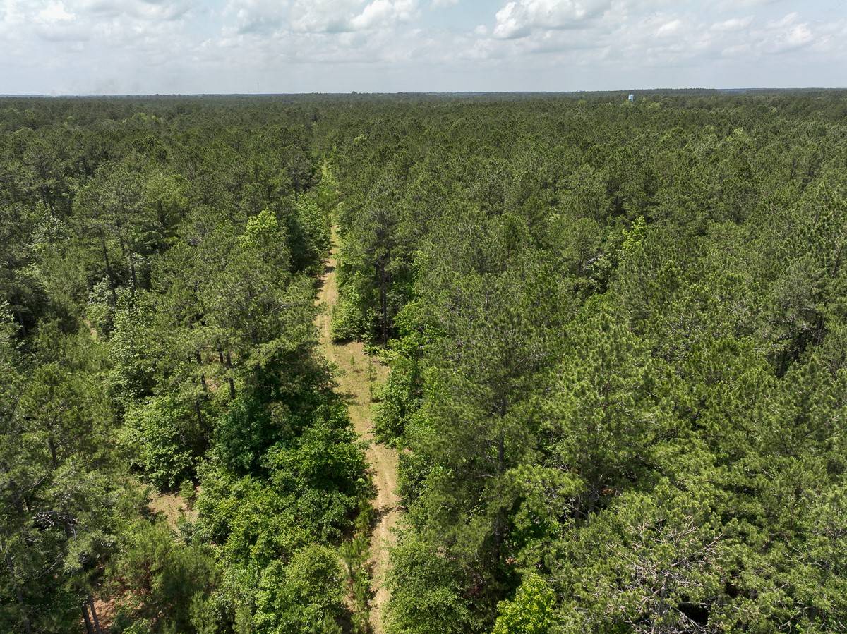 Oakhurst, TX 77359,5 Highway 190