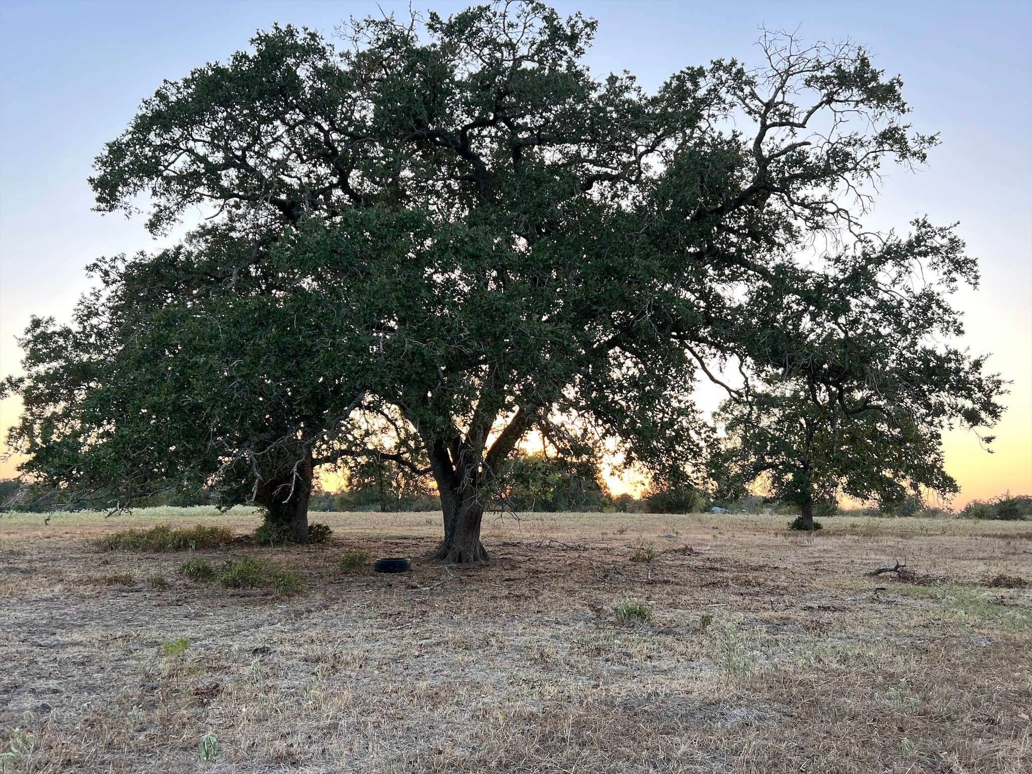 North Zulch, TX 77872,3868 Hidden Trails