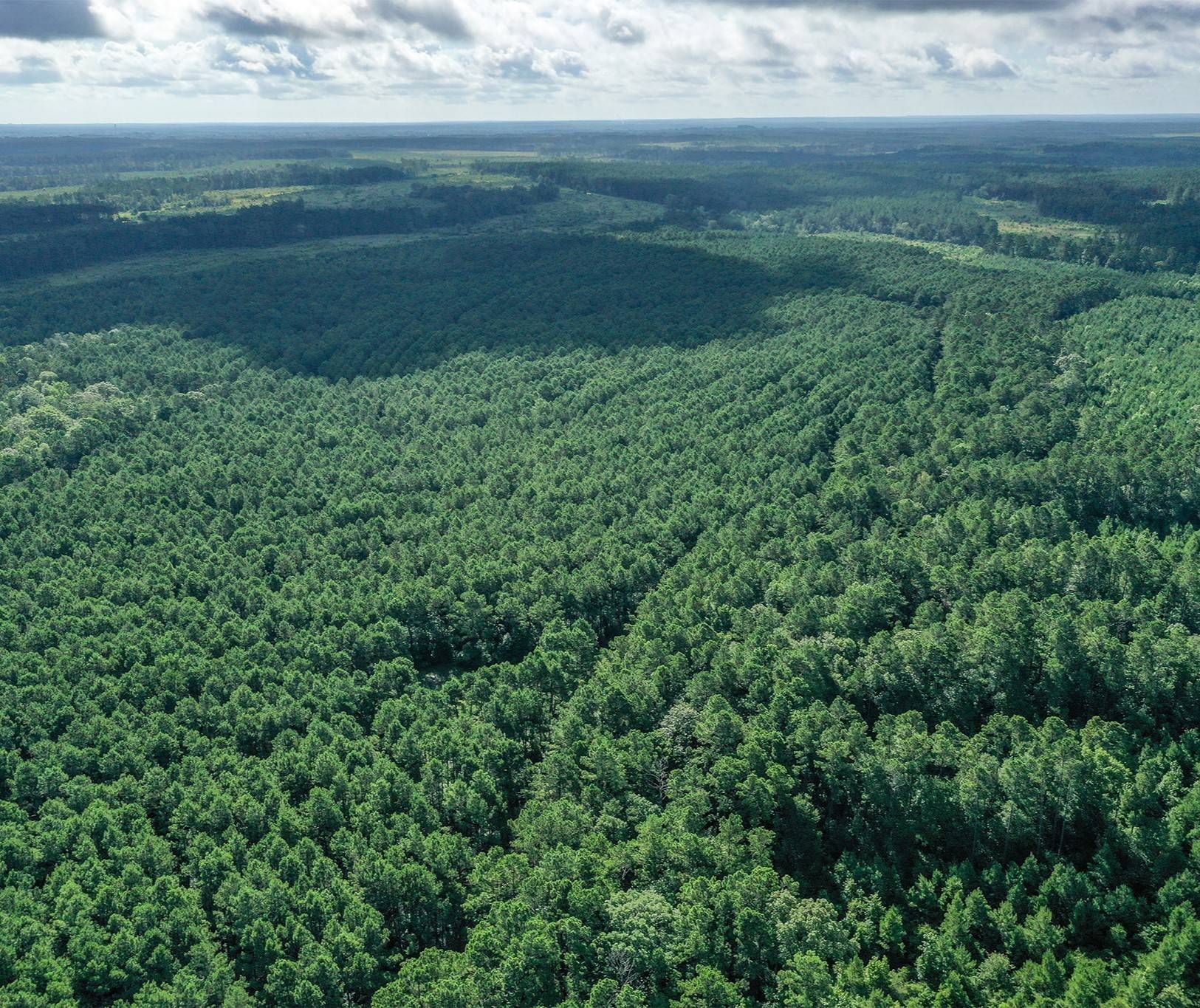 Trinity, TX 75845,878a Joe Hudson Rd