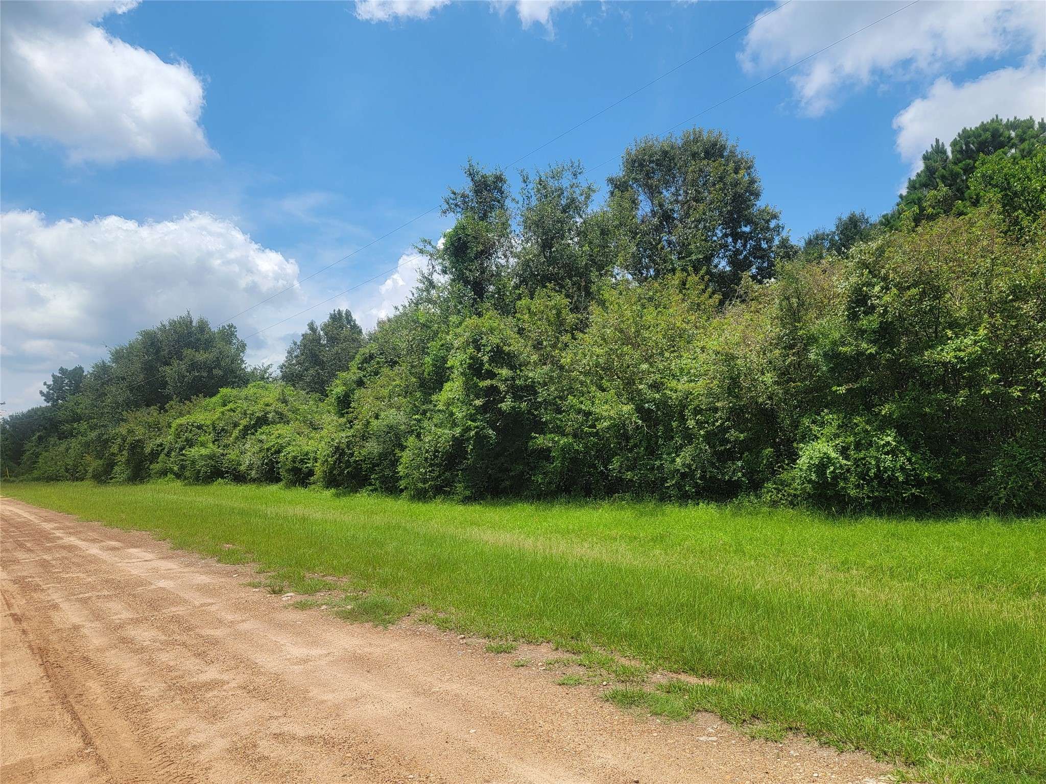 Shepherd, TX 77371,00 Farm Pasture RD