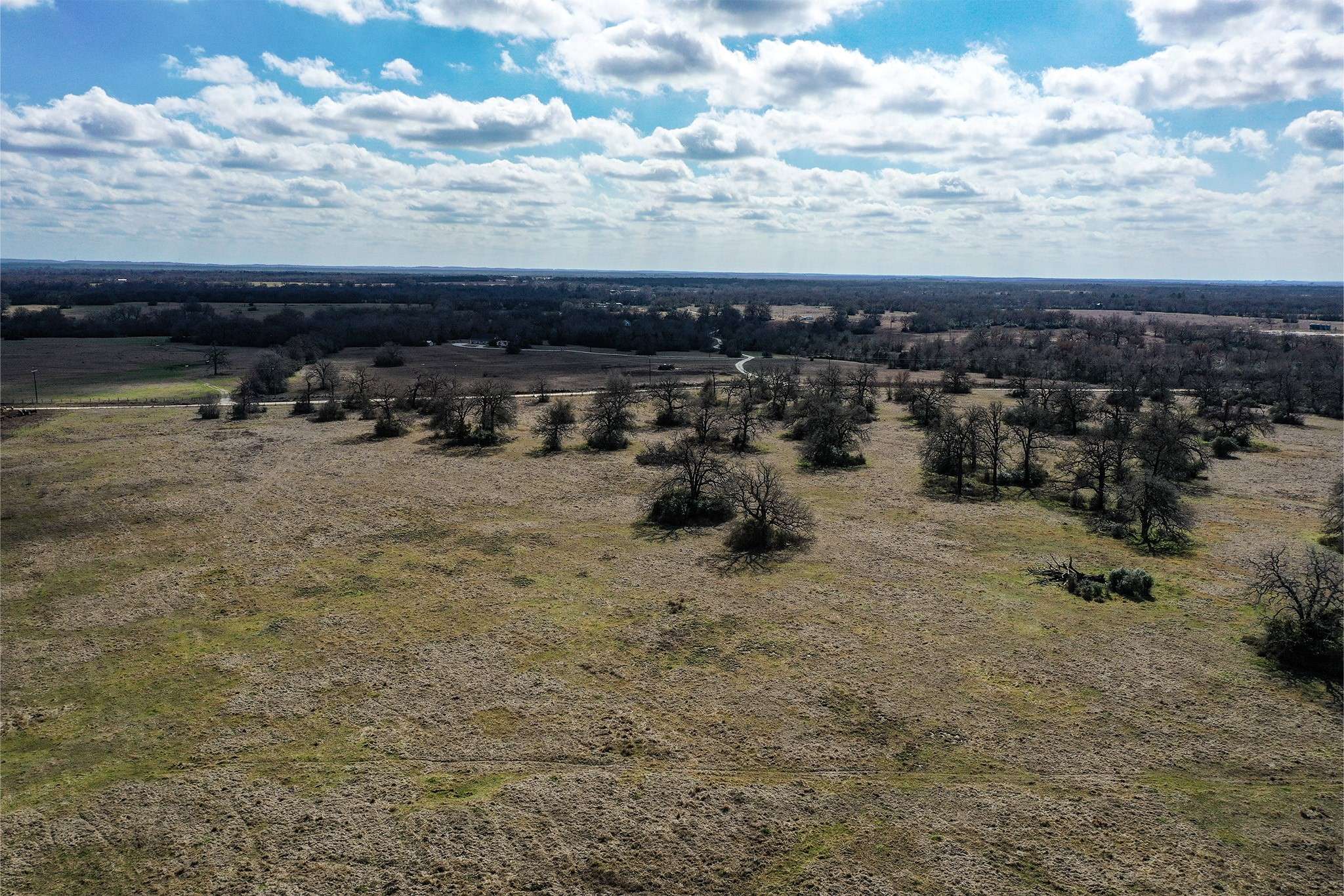 Madisonville, TX 77864,88 Ac Boyd Road
