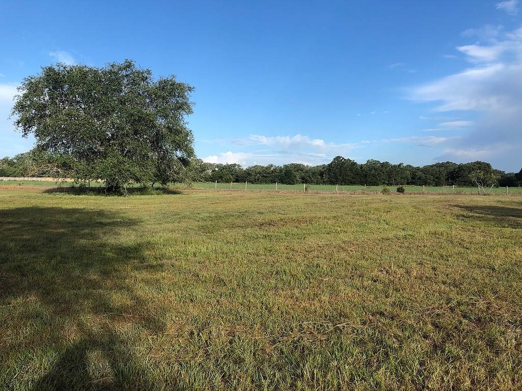 Hallettsville, TX 77964,Lot 1 PVT 1671