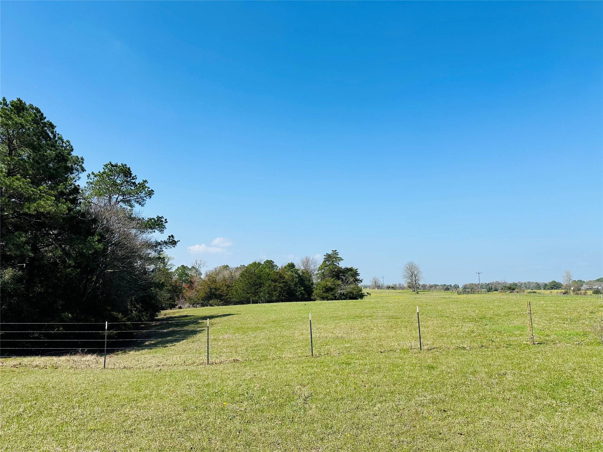 Buffalo, TX 75831,10AC County Rd 212