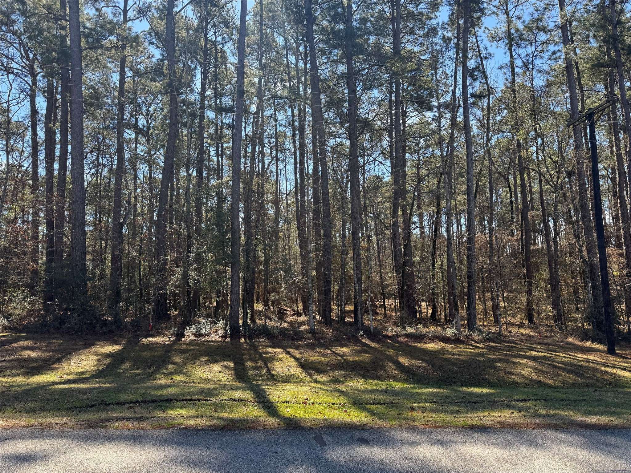 Coldspring, TX 77331,14 Altwood DR