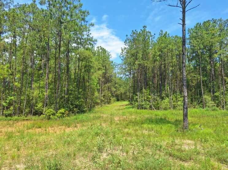 Buna, TX 77612,6851 Private Road 8235