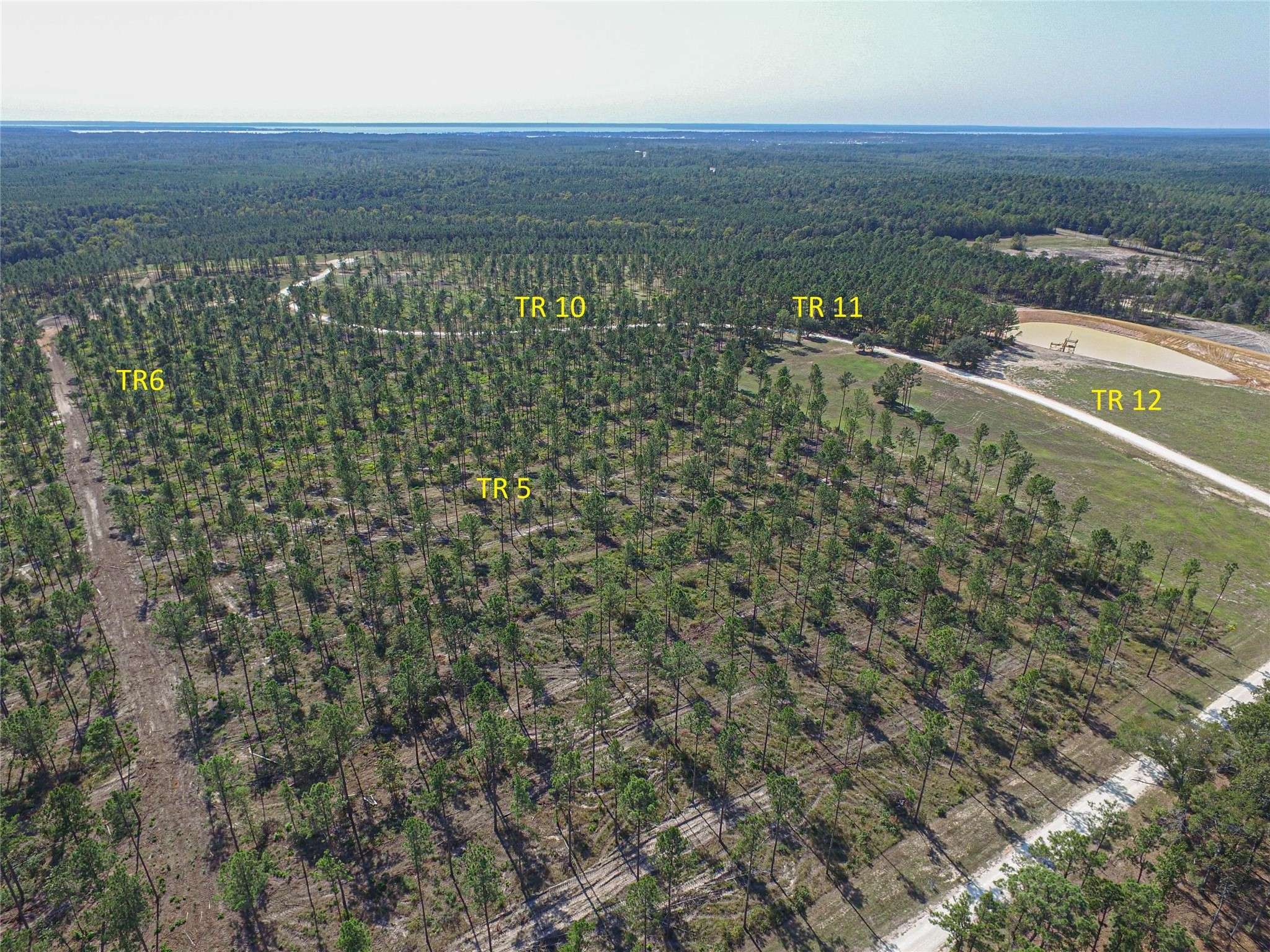 Livingston, TX 77351,005 Lucky 13 Rd