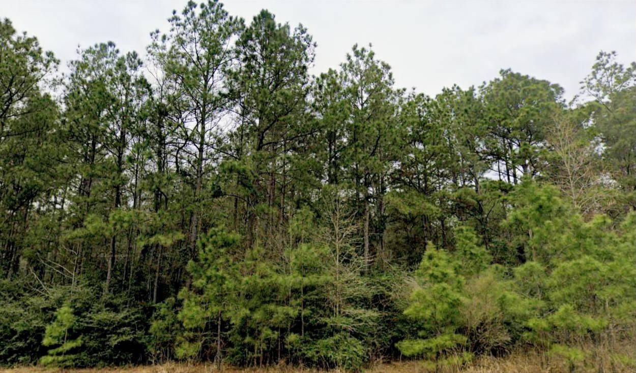 Willis, TX 77378,15572 Intrepid LN