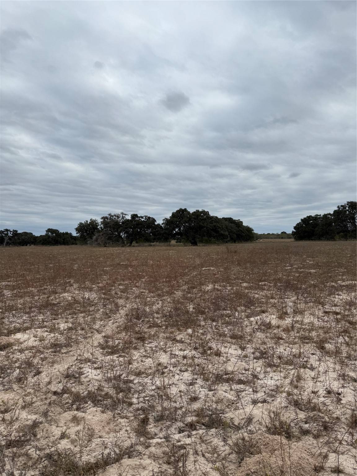 Poteet, TX 78065,3737 Bruce Lot 2 RD