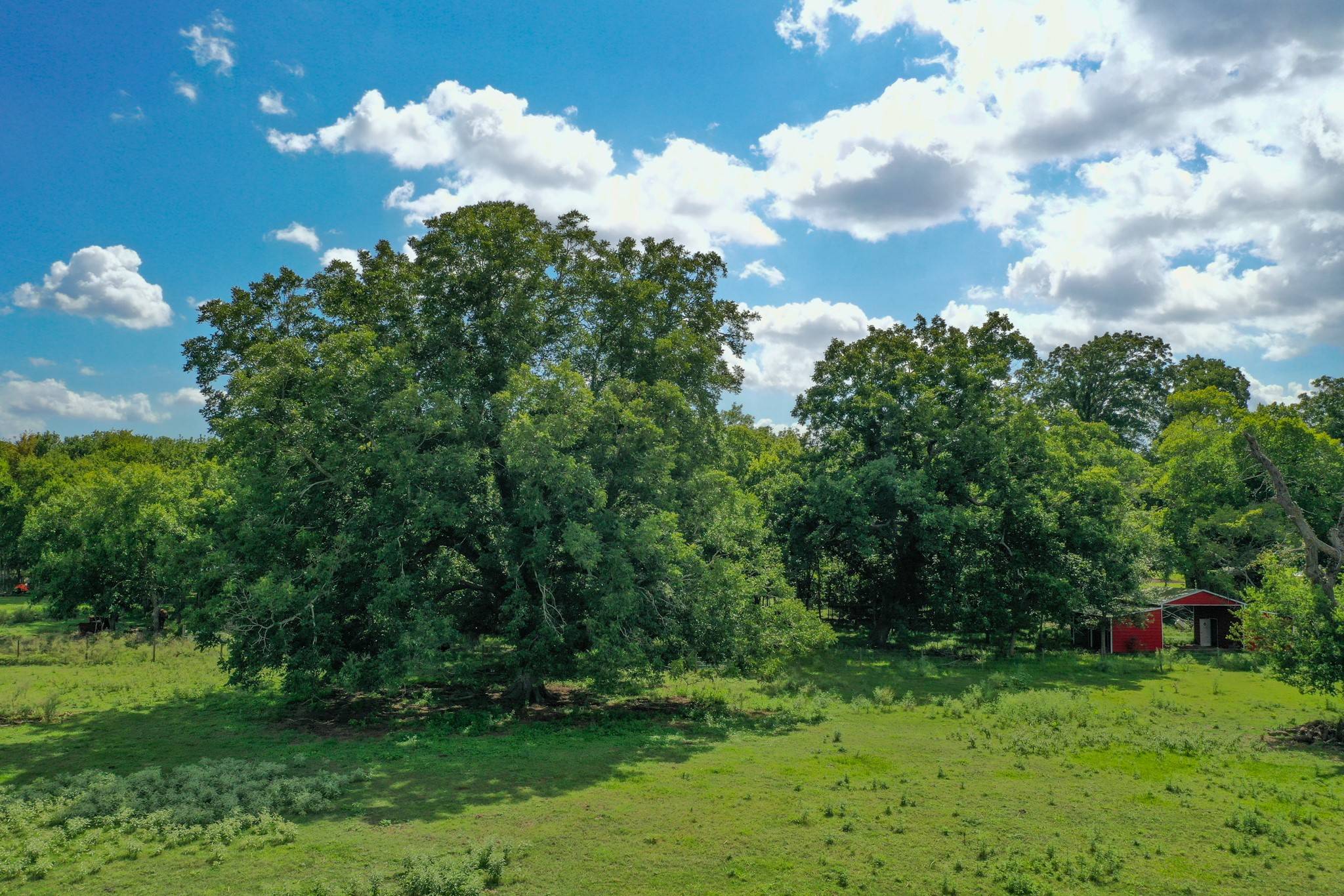 Boling, TX 77420,182 Amy LN