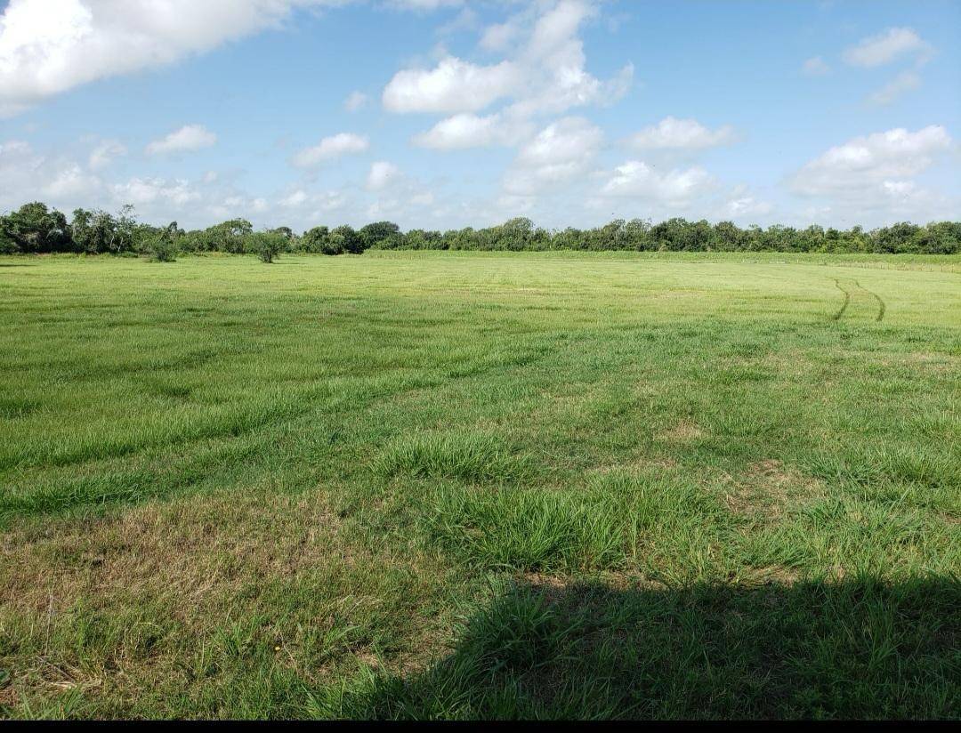 Bay City, TX 77414,169 Timberline DR