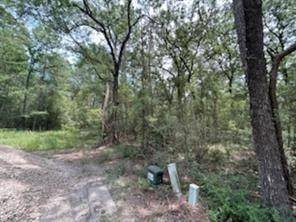 Huntsville, TX 77320,0 Hackberry