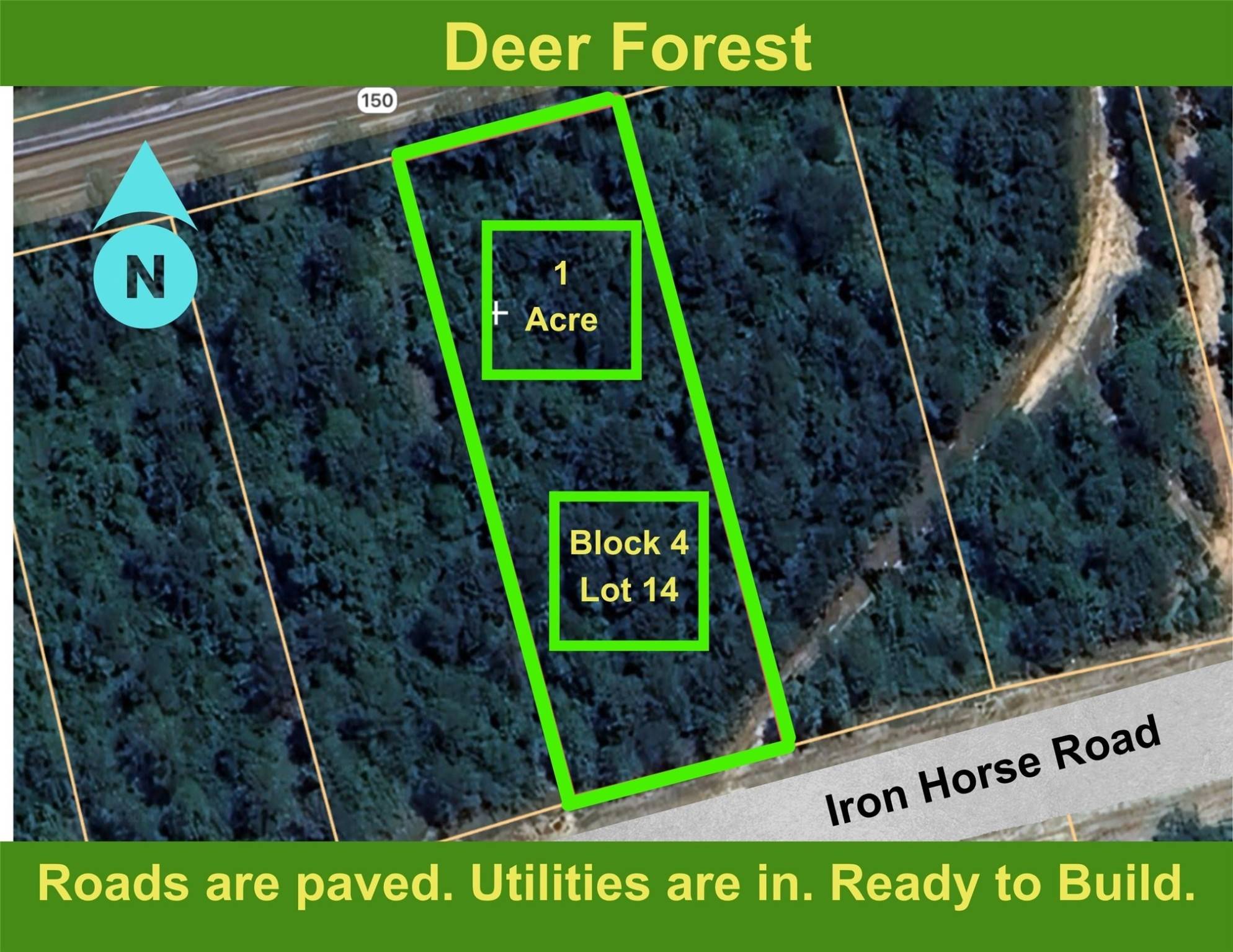 New Waverly, TX 77358,194 Iron Horse RD