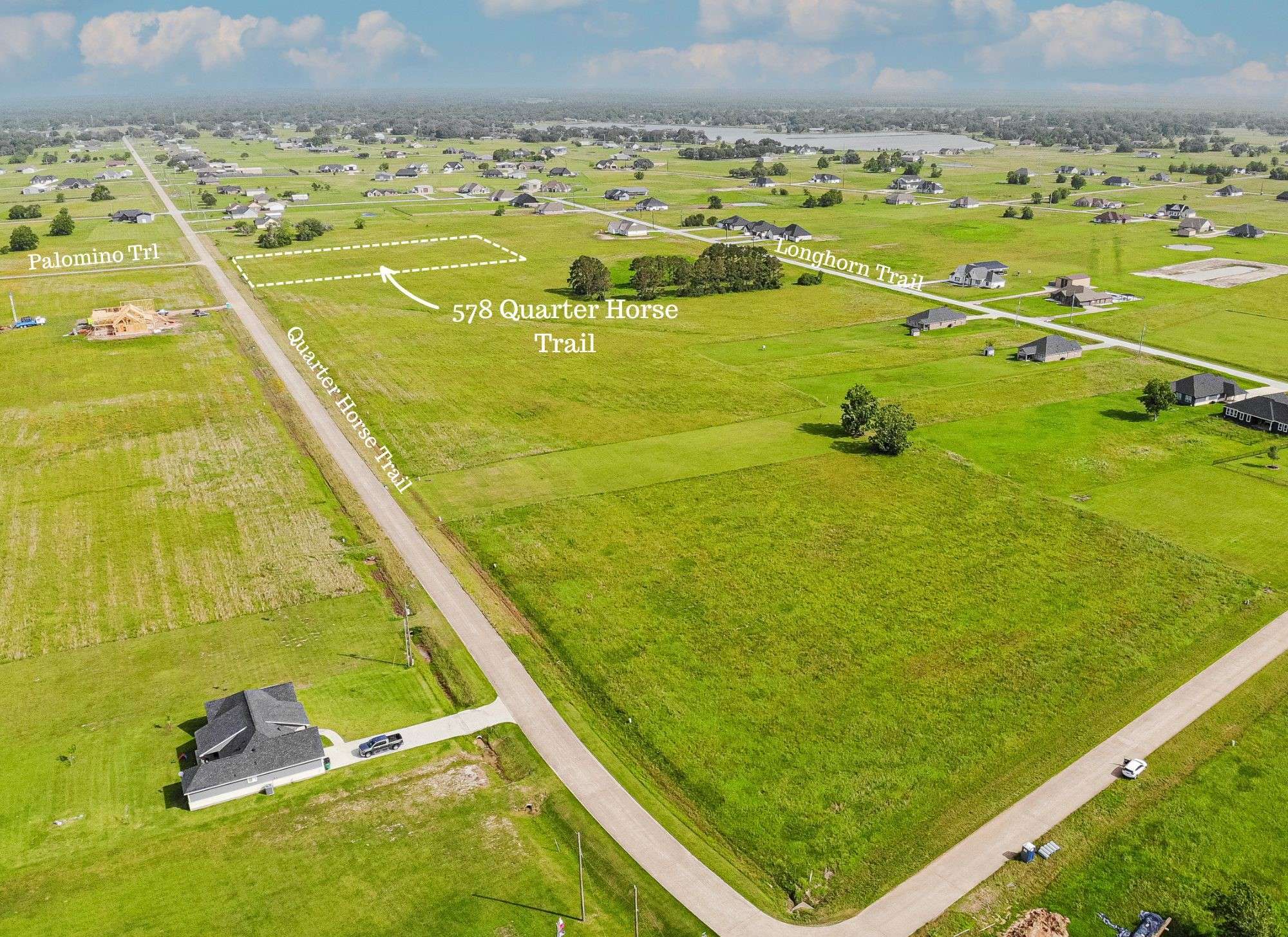 Angleton, TX 77515,578 Quarter Horse TRL