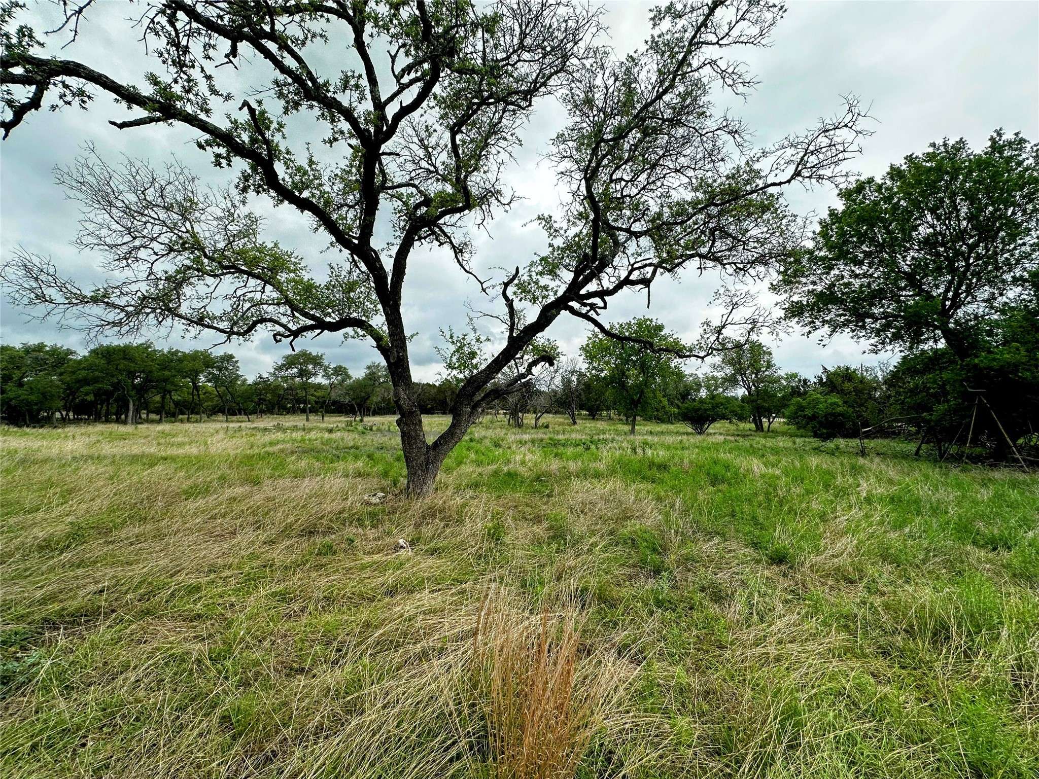 Center Point, TX 78010,305 Witt RD