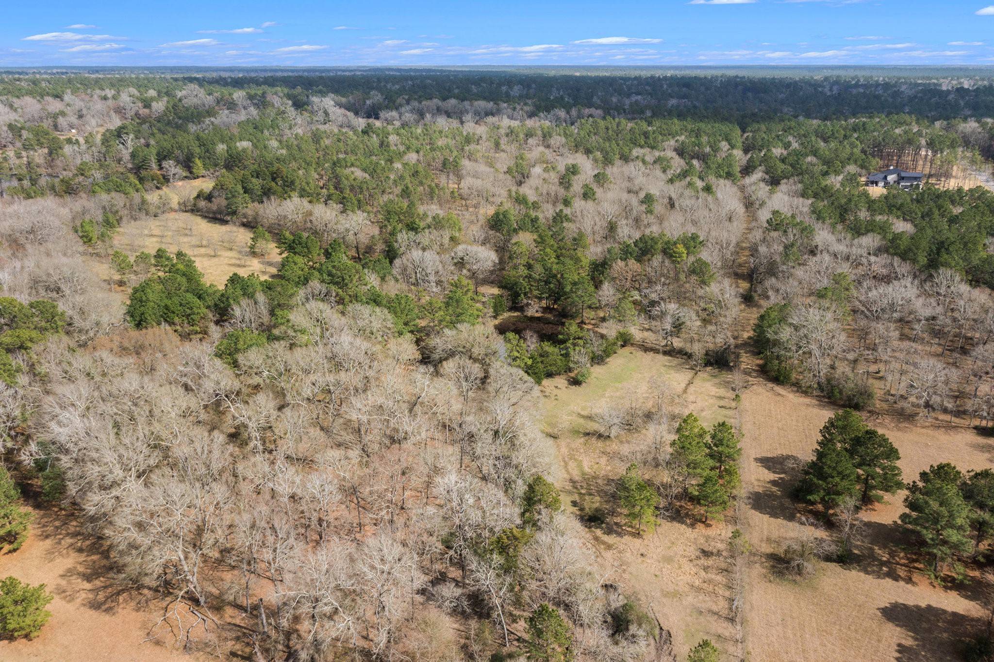 Willis, TX 77378,15504 Wood Grove WAY