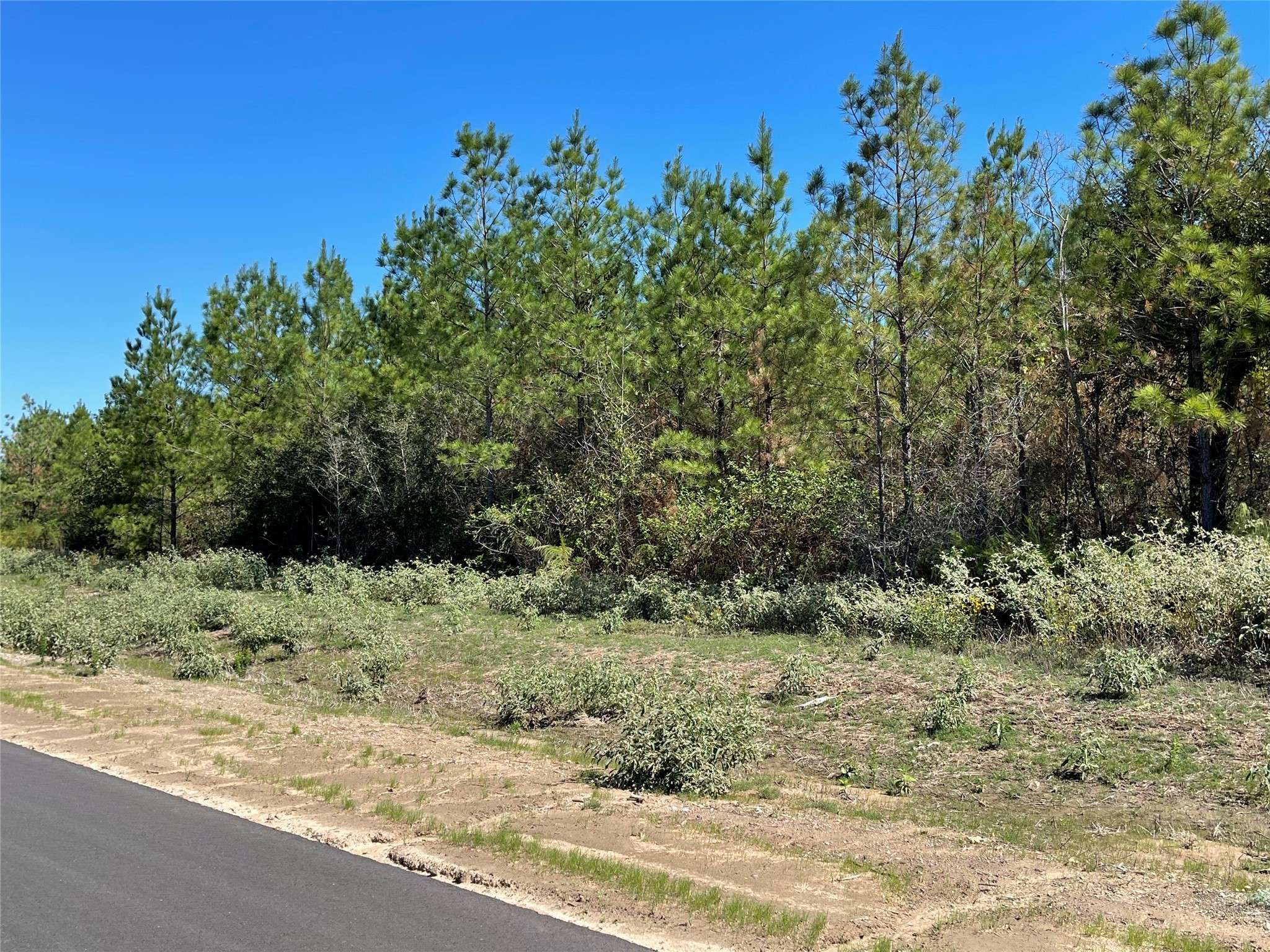 Willis, TX 77378,15702 Ridge Rock RD