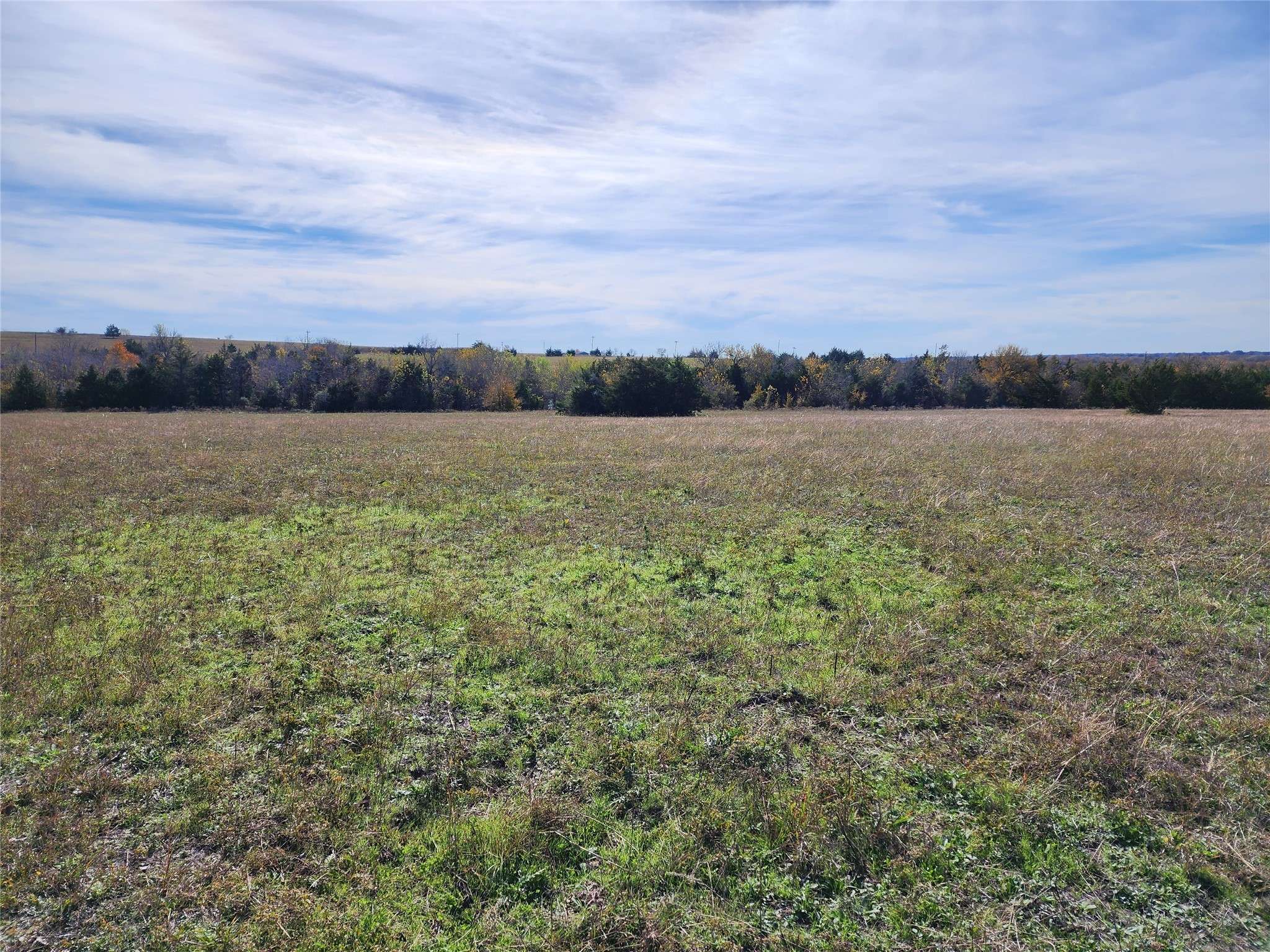 Burton, TX 77835,4040A Wickel RD