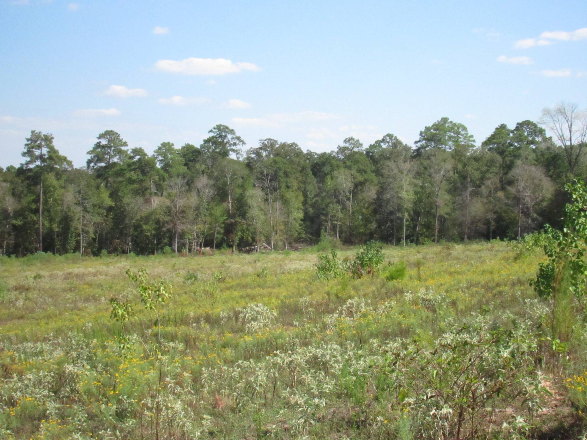 Woodville, TX 75979,0024 FM 256 N