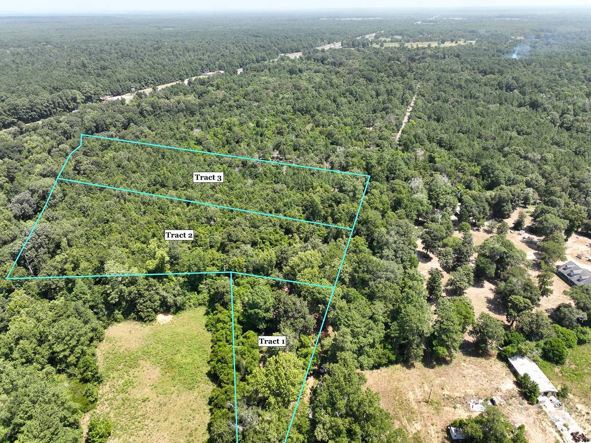 Shepherd, TX 77371,S1L1 Lake Pool Rd