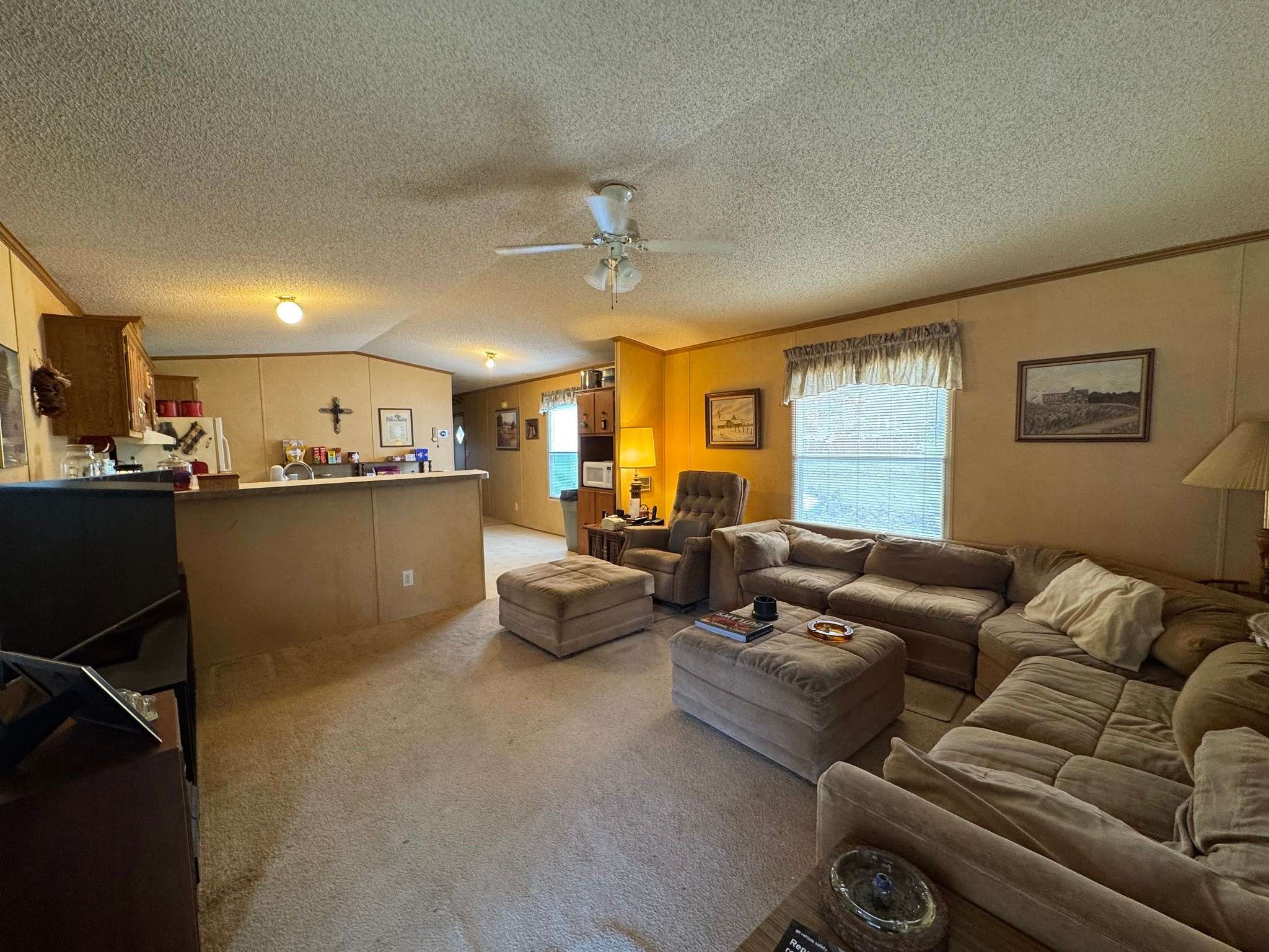 Chester, TX 75936,234 Peach Tree RD
