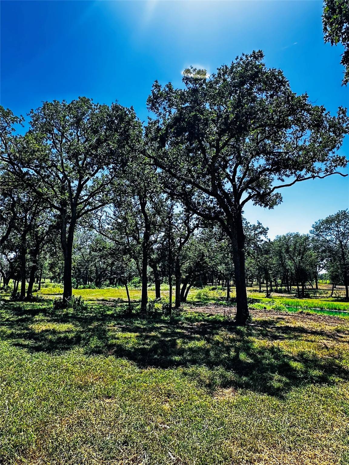 Yoakum, TX 77995,600 Rice Davis RD