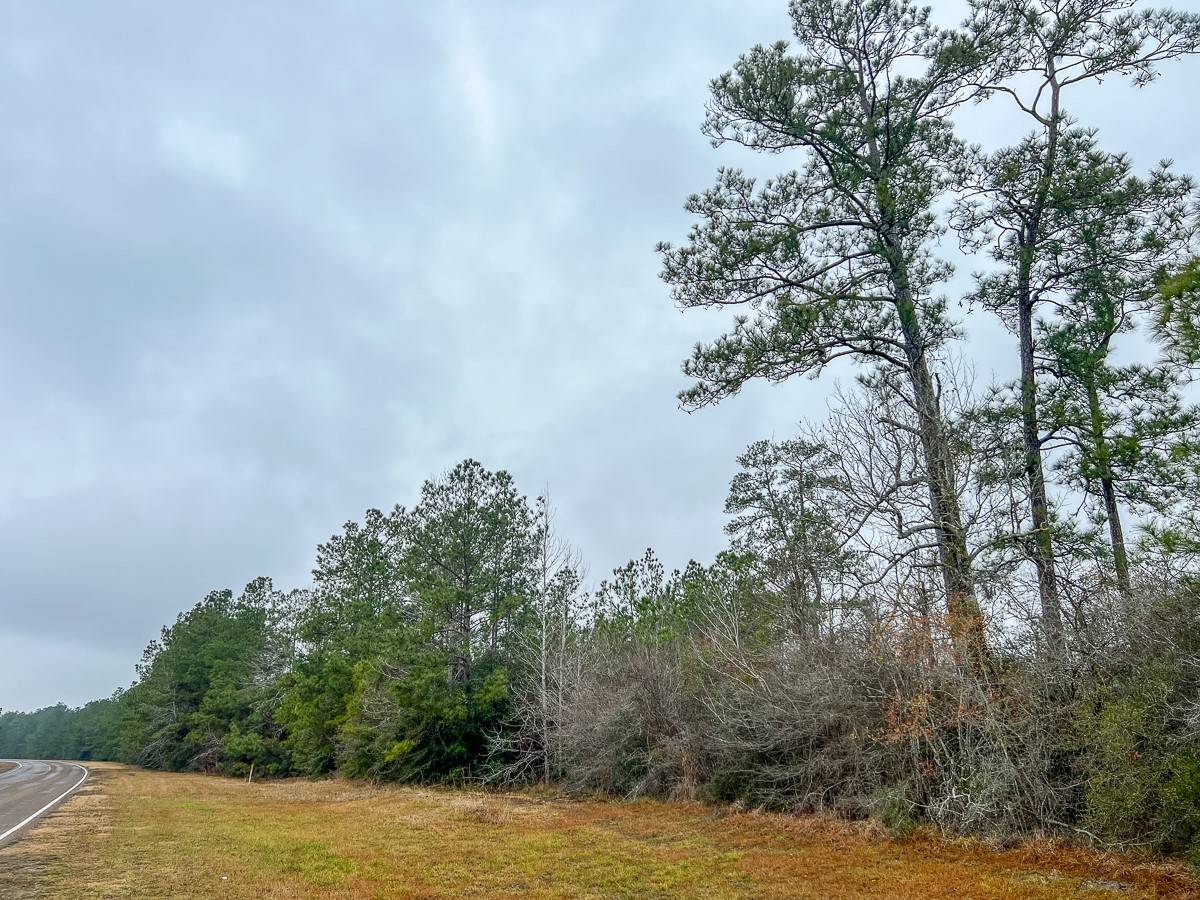 Colmesneil, TX 75938,5 Rec Road 255