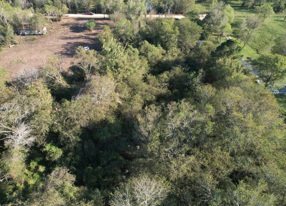 Sealy, TX 77474,5935 Pindula RD