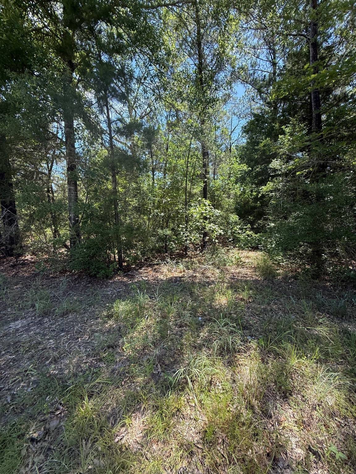 Ivanhoe, TX 75979,TBD Camelot DR
