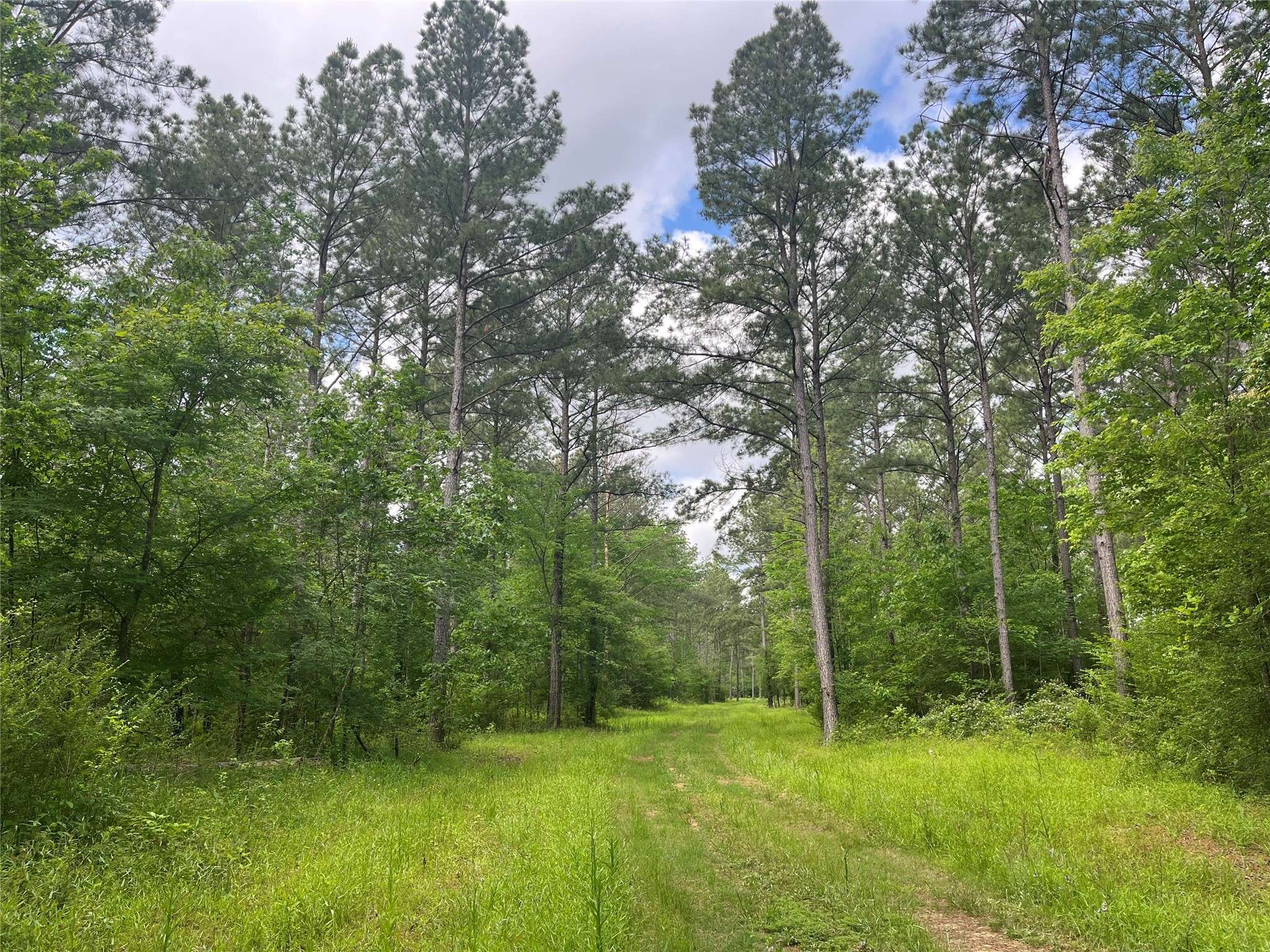 San Augustine, TX 75972,TBD ST Hwy 103E