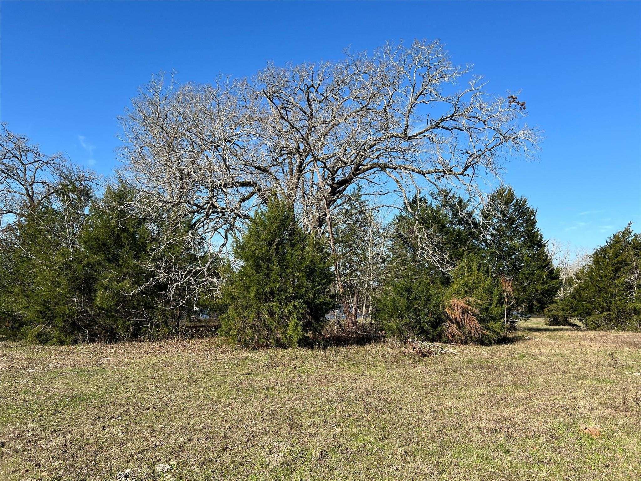 Richards, TX 77873,19285 Moriarty RD