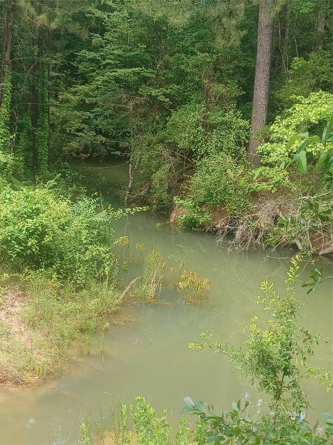 Livingston, TX 77351,3 Miller Club RD