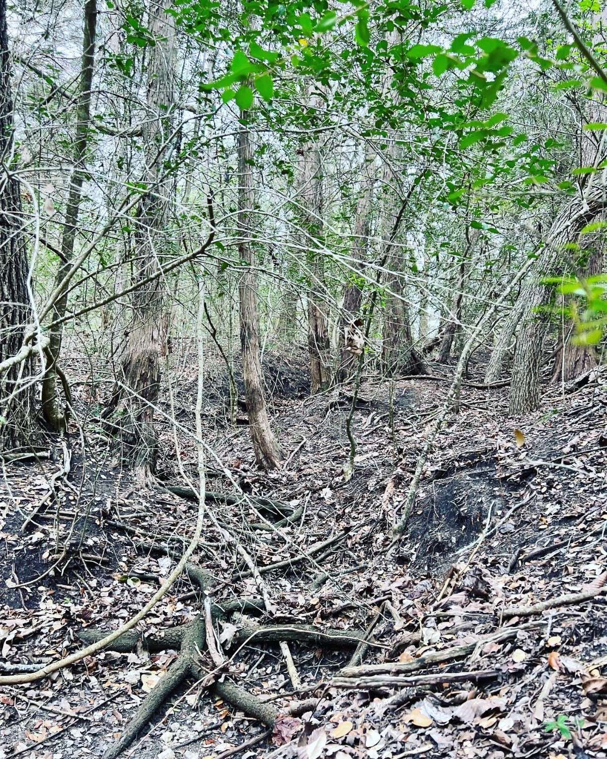 Schulenburg, TX 78956,6175 County Line Road