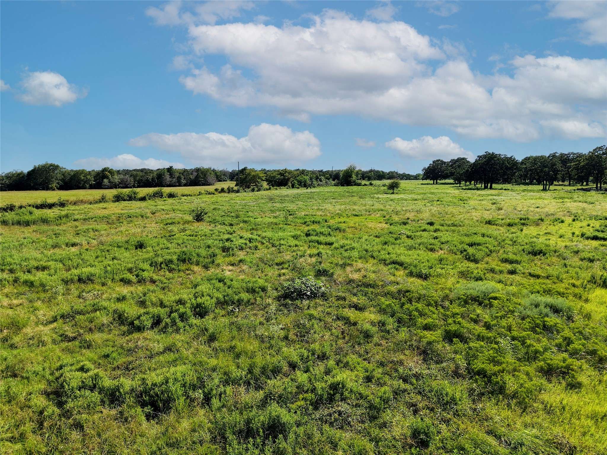 Iola, TX 77831,5784 County Road 123