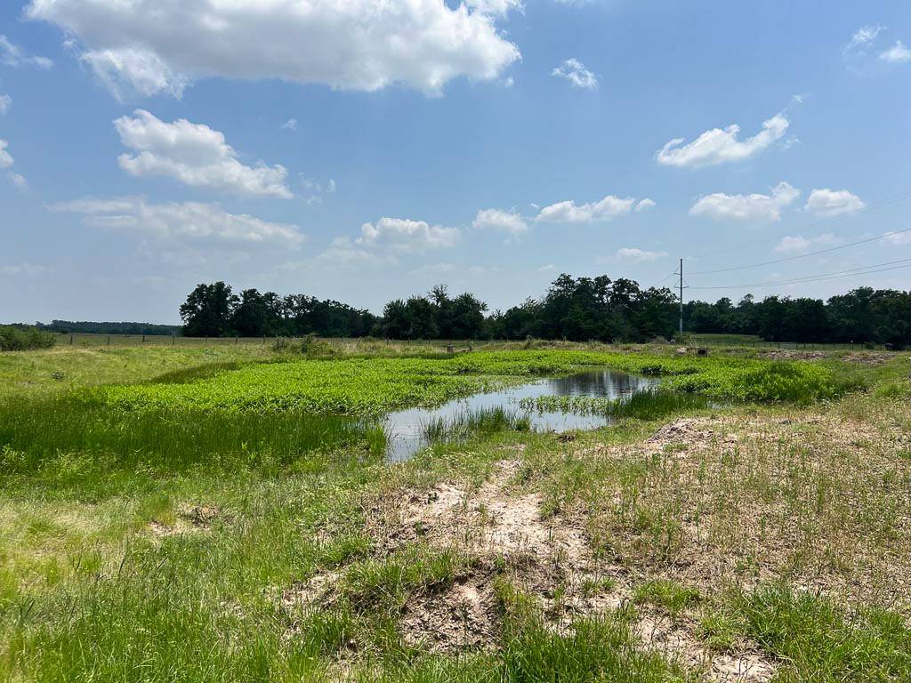 Richards, TX 77873,Tract #4 FM 2562 RD