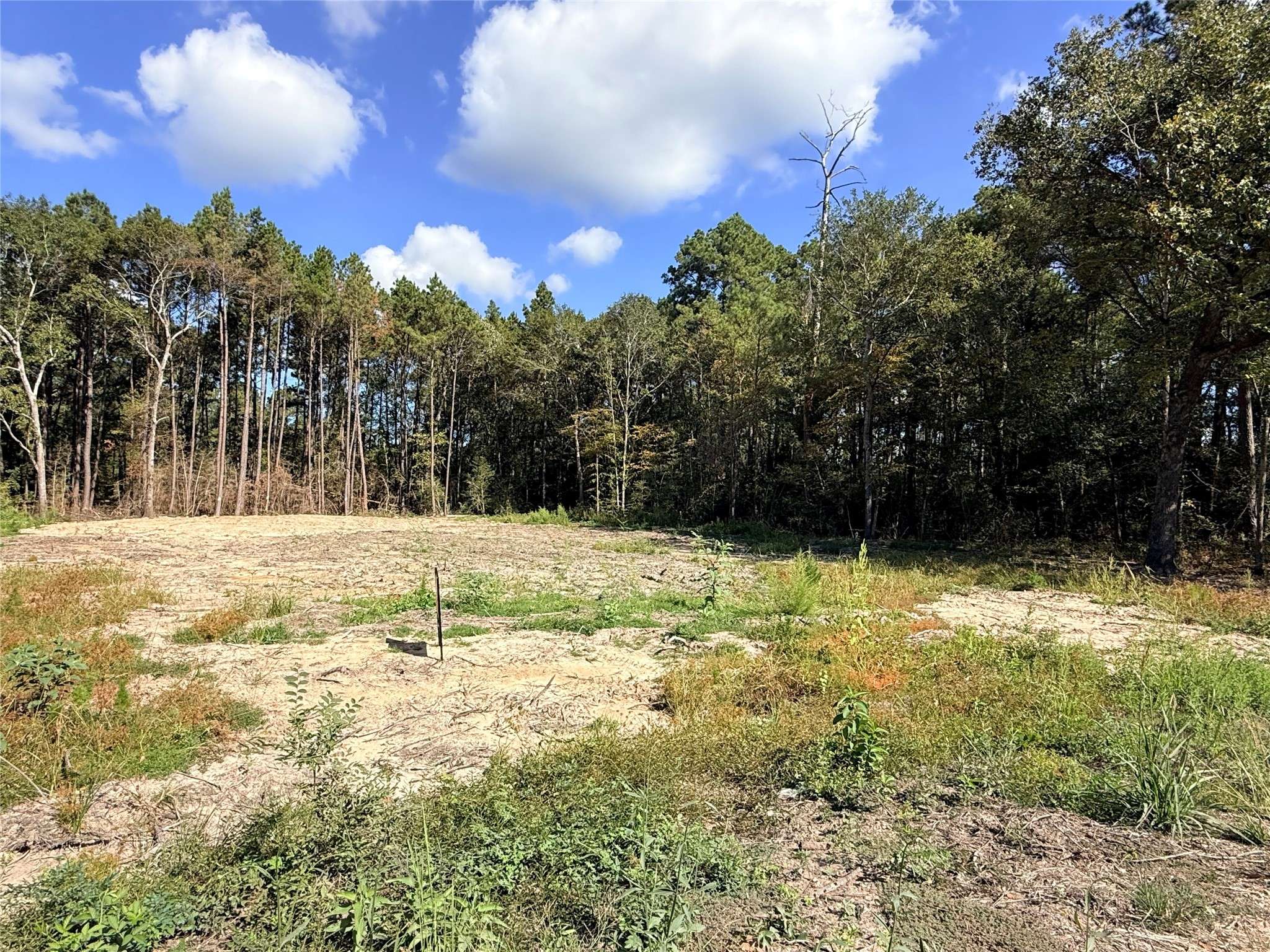 Plantersville, TX 77363,11249 Wildwood LN